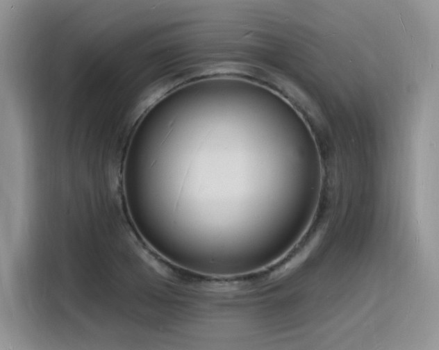 X0000116130985200911231232
