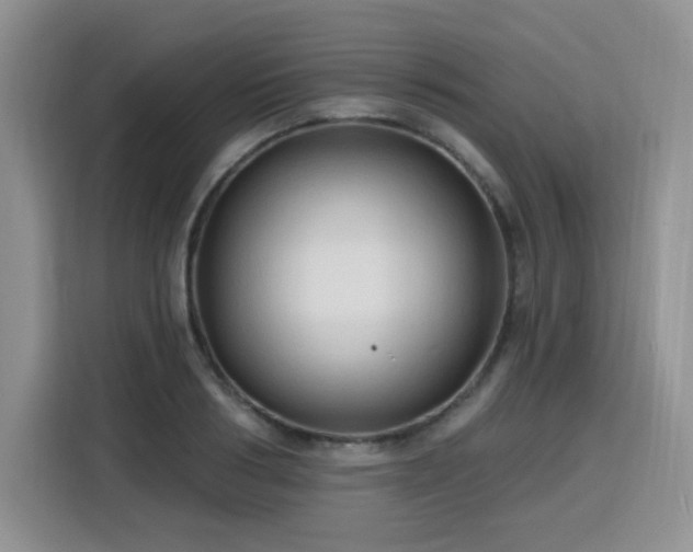 X0000116130986200911231232