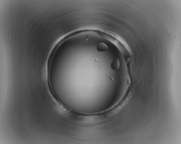 X0000116130988200911231232