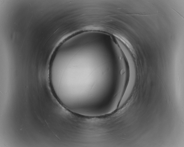 X0000116130992200911231231