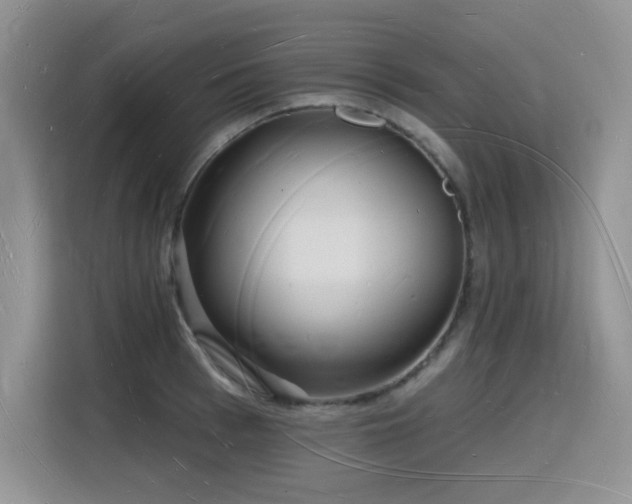 X0000116130993200911231231