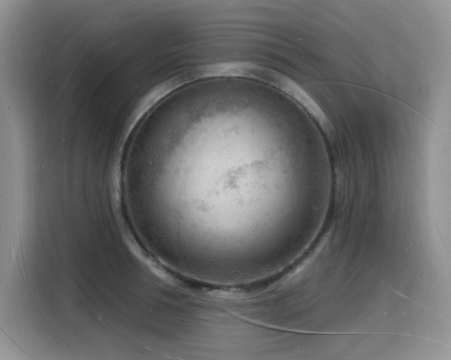 X0000116130994200911231231