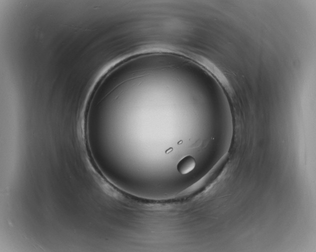X0000116130996200911231231