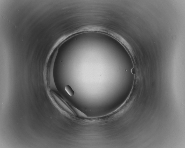 X0000116130997200911231231
