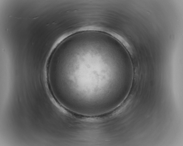 X0000116130998200911231231