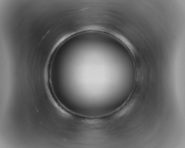 X0000116130999200911231231