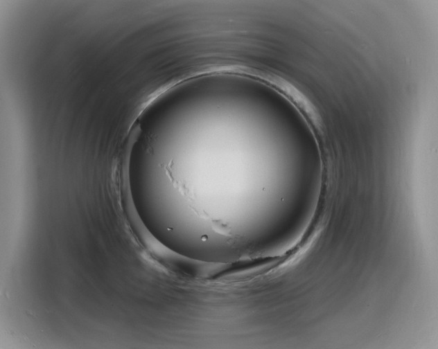 X0000116131001200911231231