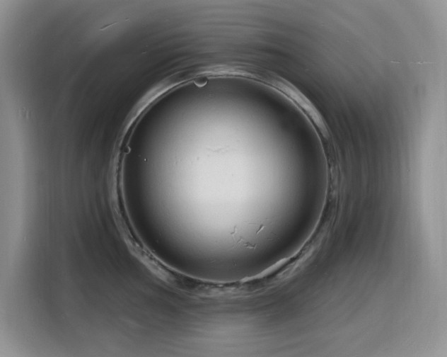 X0000116131002200911231231