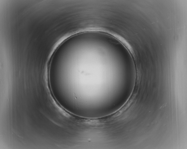 X0000116131006200911231231