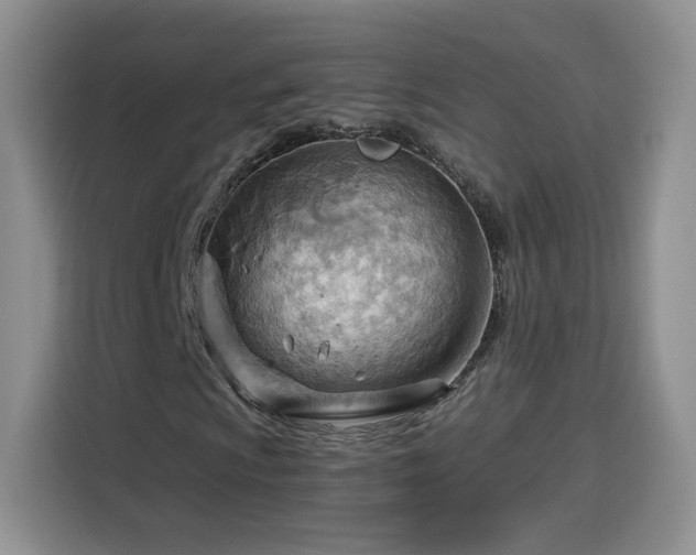 X0000116131009200911231231