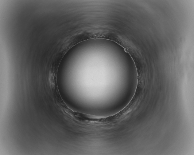 X0000116131010200911231231