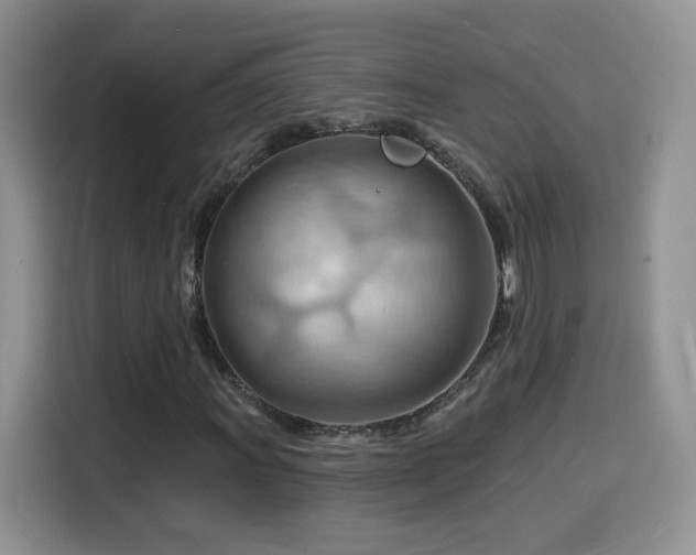 X0000116131011200911231231