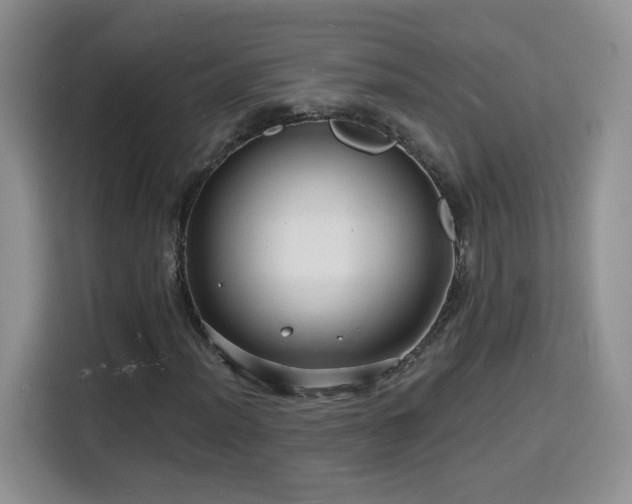 X0000116131012200911231231