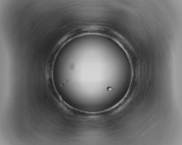 X0000116131017200911231231
