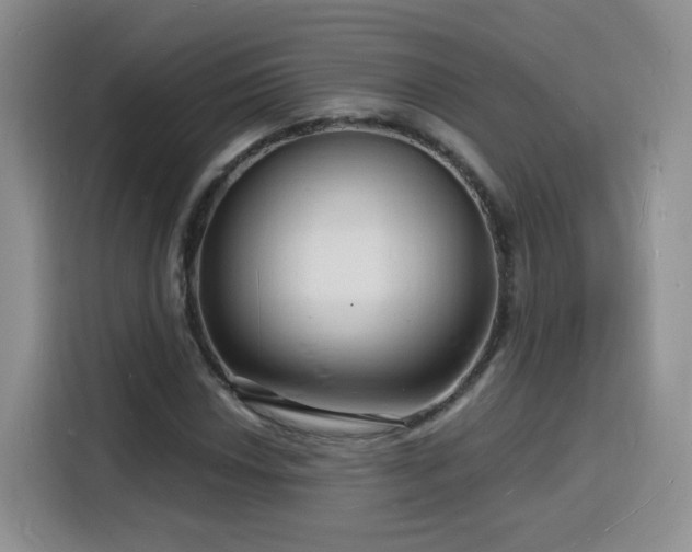 X0000116131018200911231231