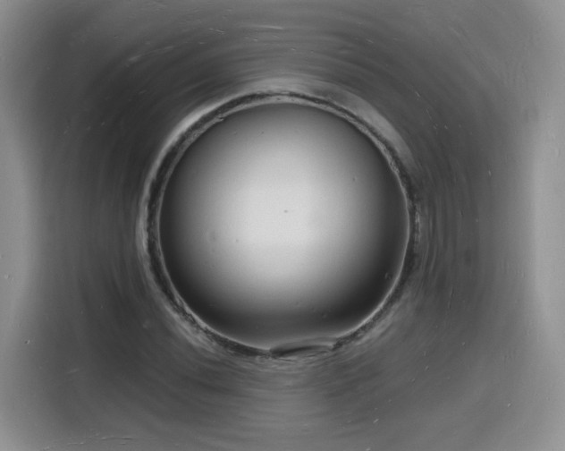 X0000116131020200911231231