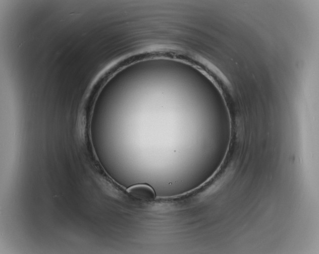 X0000116131021200911231231