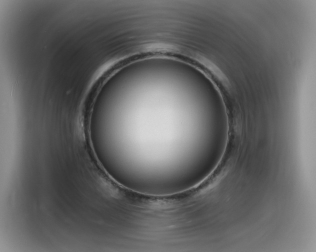 X0000116131022200911231231