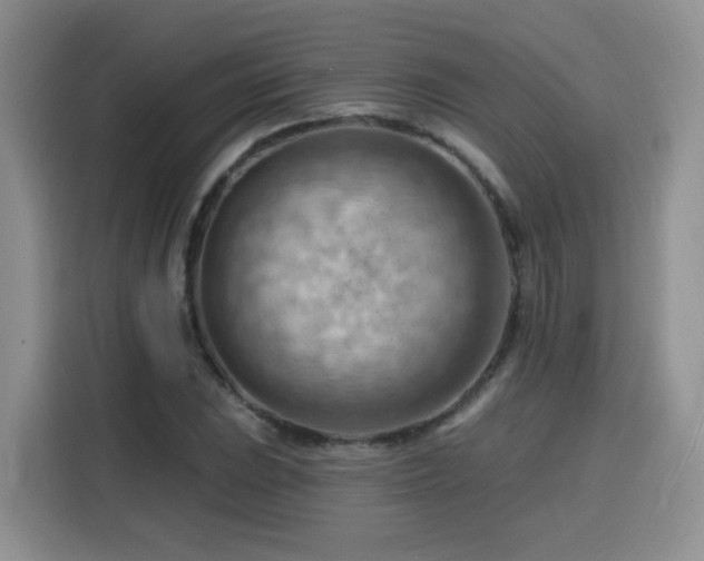 X0000116131023200911231231