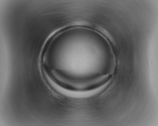 X0000116131024200911231231