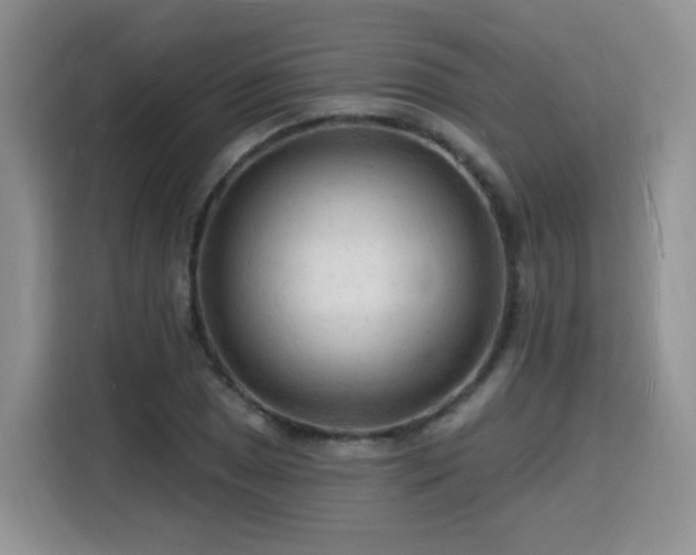 X0000116131025200911231231