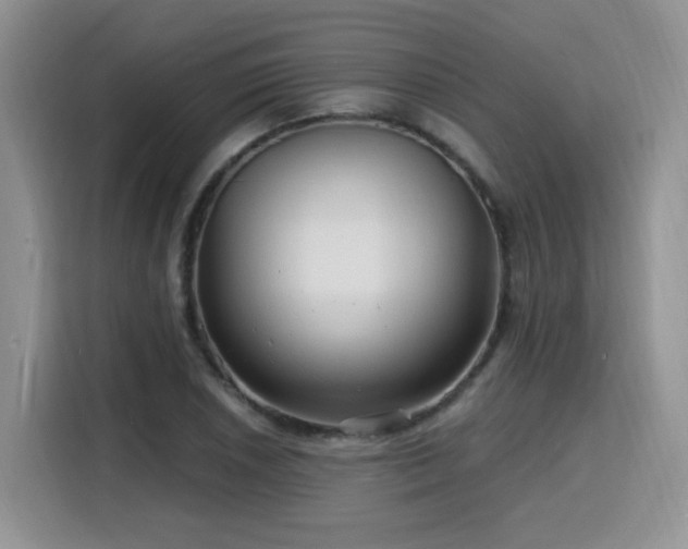 X0000116131026200911231231