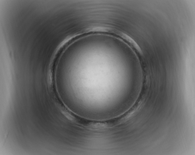 X0000116131027200911231231