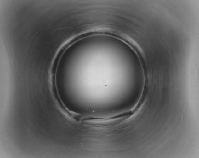 X0000116131029200911231231