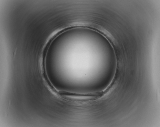 X0000116131030200911231231