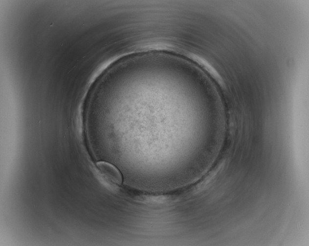 X0000116131031200911231231