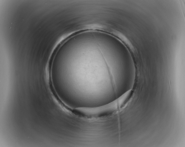 X0000116131032200911231231