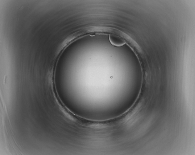 X0000116131033200911231231