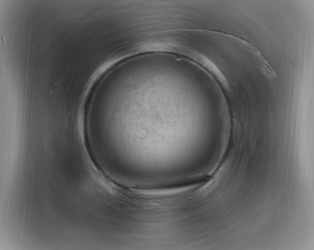 X0000116131035200911231231