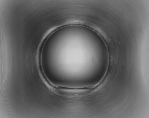 X0000116131038200911231231