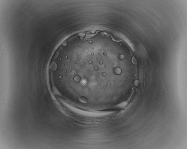 X0000116131039200911231231