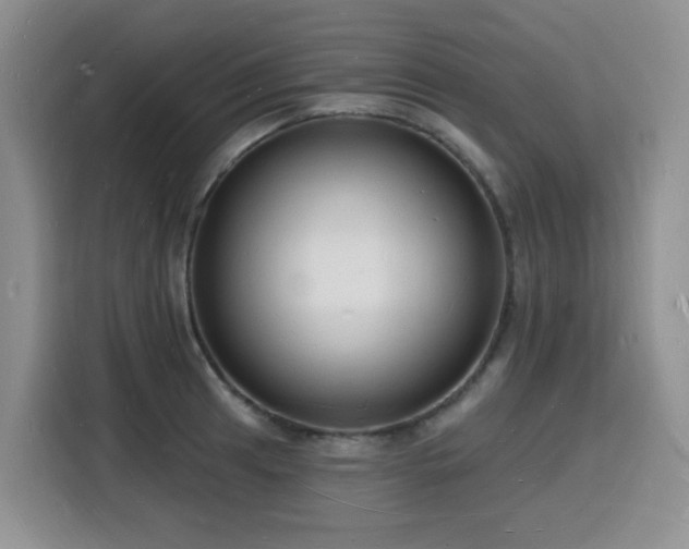 X0000116131041200911231231