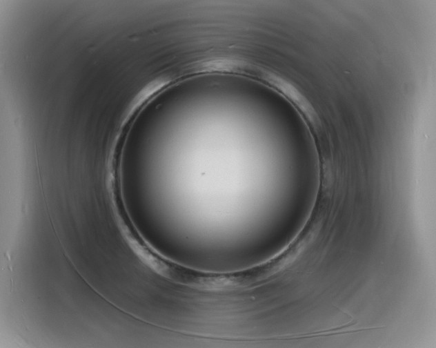 X0000116131042200911231231