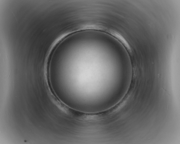 X0000116131043200911231231