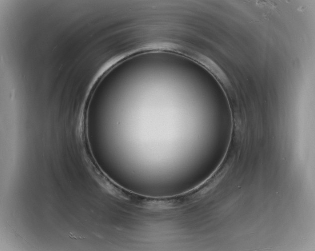 X0000116131044200911231231
