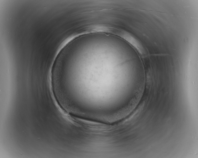 X0000116131047200911231231