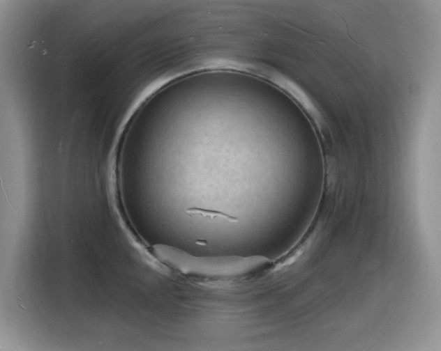 X0000116131048200911231231