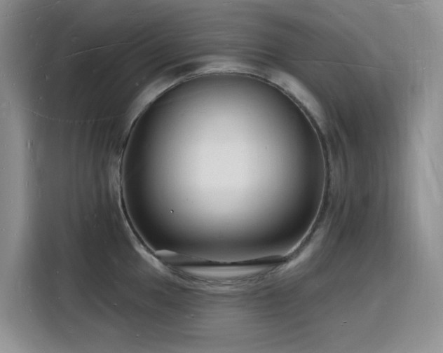 X0000116131049200911231231