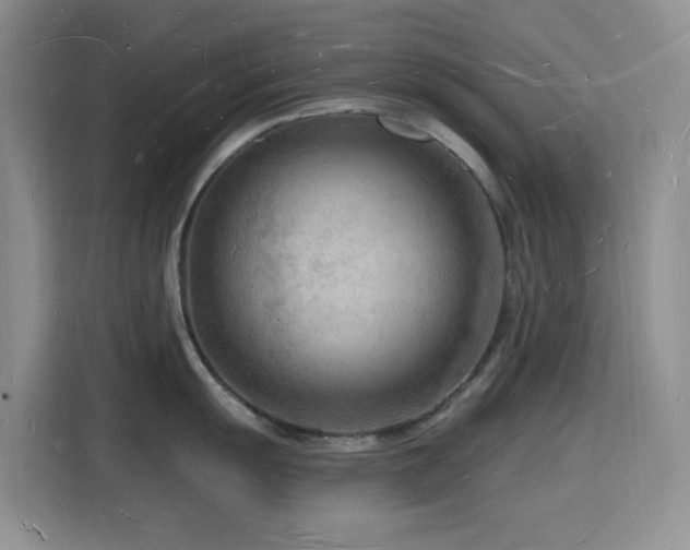 X0000116131055200911231231