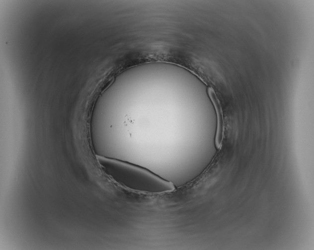 X0000116131057200911231231