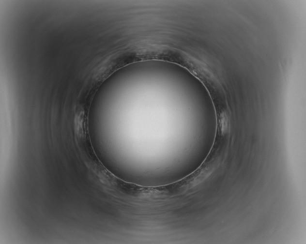 X0000116131059200911231231