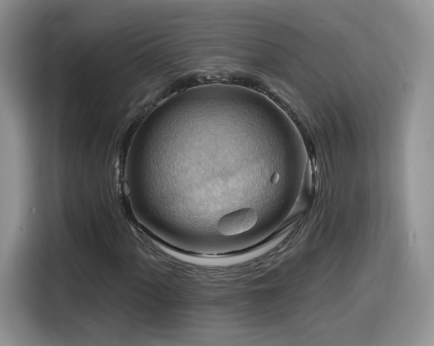X0000116131060200911231231