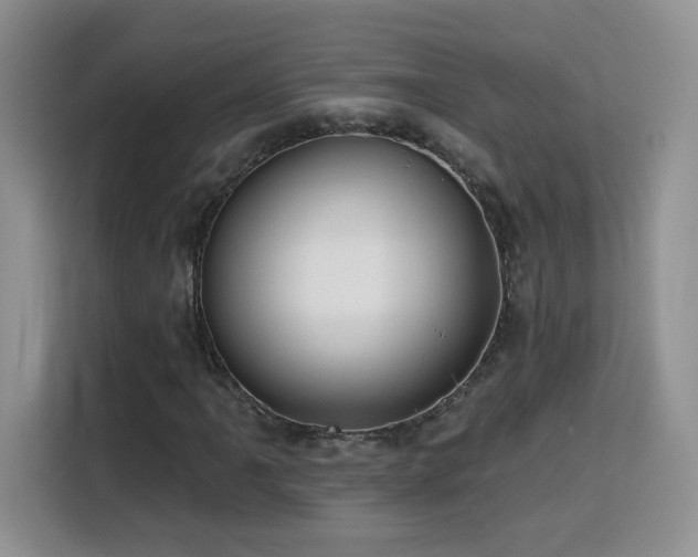 X0000116131061200911231231
