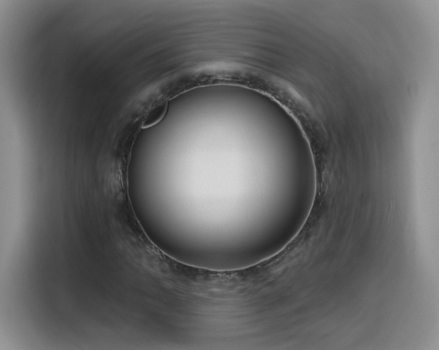 X0000116131062200911231231