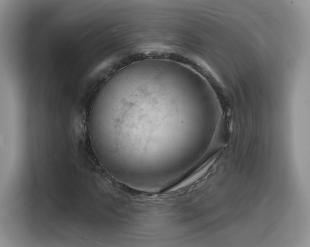 X0000116131063200911231231