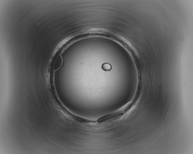 X0000116131066200911231231